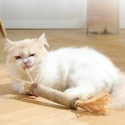 CAT SILVERVINE CHEWING STICK 1