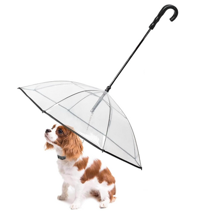 PawShield Transparent Dog Umbrella Leash 1