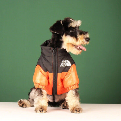 Jacket For Pets 1
