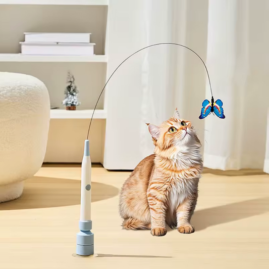 Interactive Elastic Wand Cat Toy with Butterfly Teaser 1