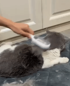 Universal Pet Knots Remover 1
