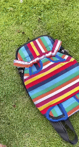 Comfortable Front Pet Carrier Backpack 1