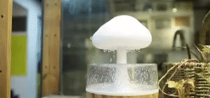 Calming Rain Diffuser 1