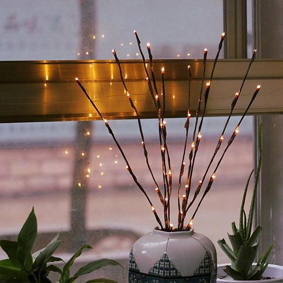 Lit Branch 1