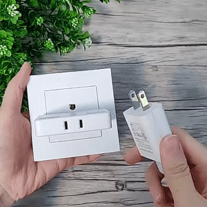 Travel Power Socket Plug 1