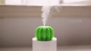 Cactus Ball Humidifier 1