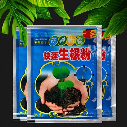 Growth Rooting Powder Plus-10pcs 1