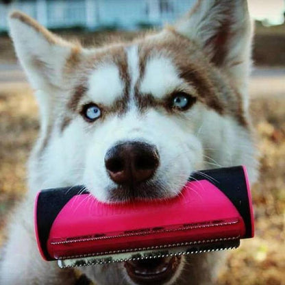 3 IN 1 MULTIFUNCTIONAL PETS BRUSH 1