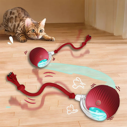Rollraptor interactive pet toy ball 1