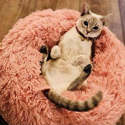 Deluxe Plush Bed 1