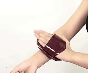 Meridians Massage Brush 1