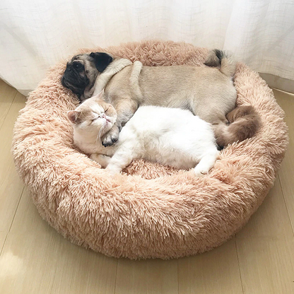 Comfy Calming™ Pet Bed 1