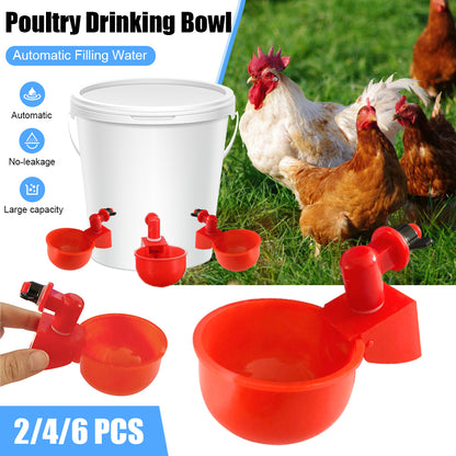 Automatic Chicken Water Dispenser 1