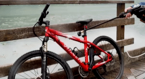 Portable Power Cleaner 1