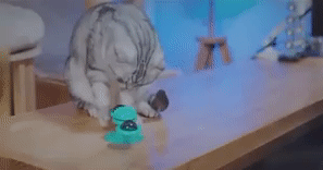 Windmill Cat Toy 1