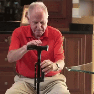 Collapsible telescopic cane 1