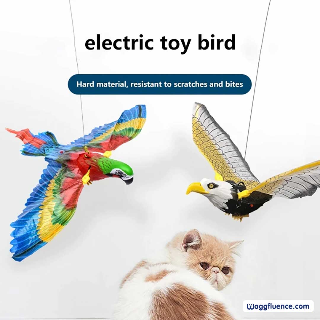 Interactive Bird Simulation Hanging Cat Toy 1