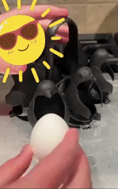 Egg Holder 1