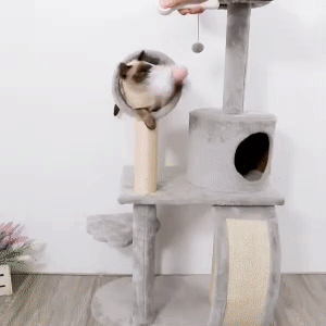 Cat Interactive Feather Toy 1