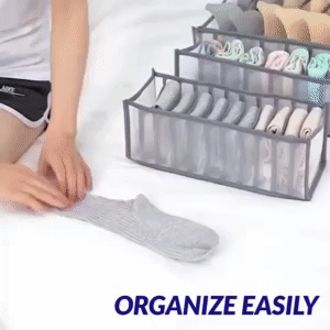 Organizer Bra Storage 1