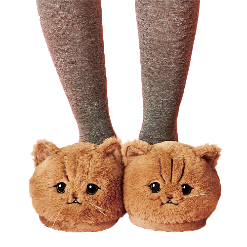 Lazy Cat Slippers 1