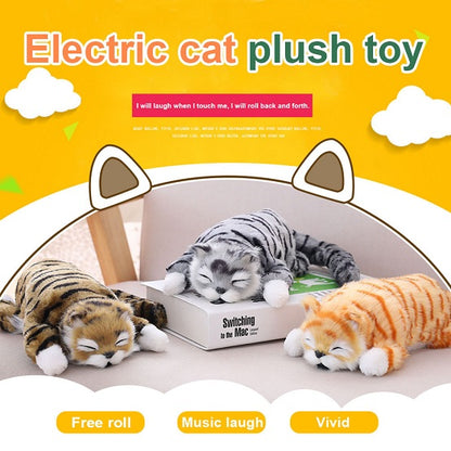 Funny Rolling Cat 1