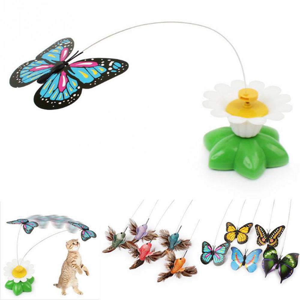 Butterfly Cat Toy 1