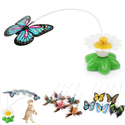 Butterfly Cat Toy 1