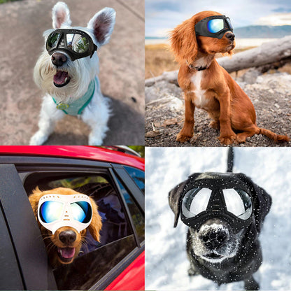 Dog Goggles Large & Small Breed 1