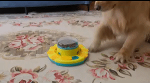 Pet Puzzle Toy Improve Dog 1