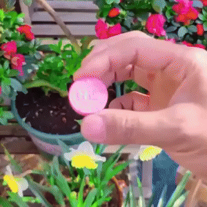 Slow-Release Tablet Organic Fertilizer 1