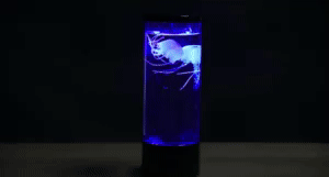 Jellyfish Lamp 1