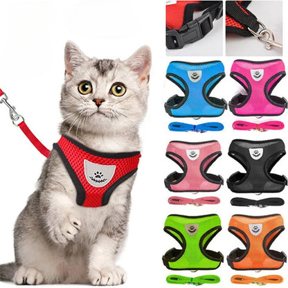 Cat Harness & Leash 1