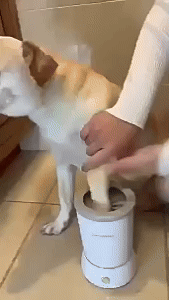 Dog Paw Cleaner 1