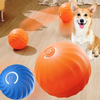 Interractive Motion Activated Rolling Ball Dog Toy 1