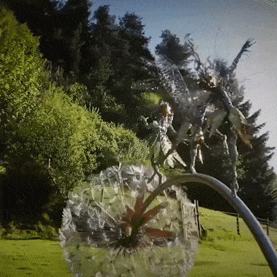 Fairies Garden Dandelion Pixies Decor 1