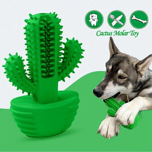Cactus Dog Toothbrush 1