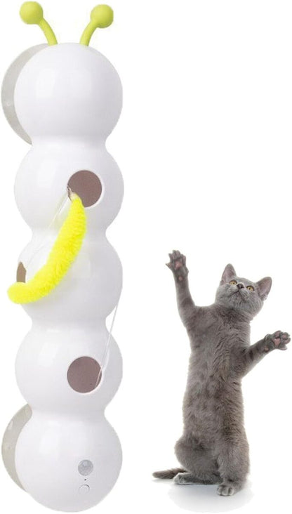 Cat Toy with Worm Design 1
