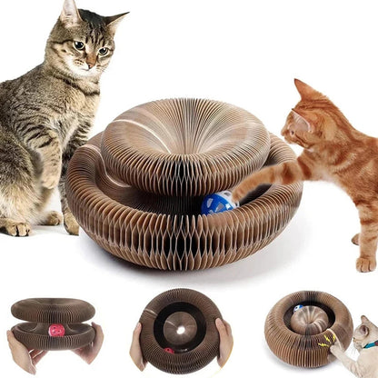 Magic Organ Cat scratching Board 1