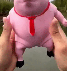 Squeeze Pig Toy 1