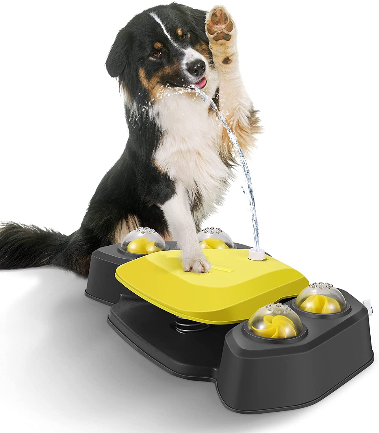 Dog Water Sprinkler 1