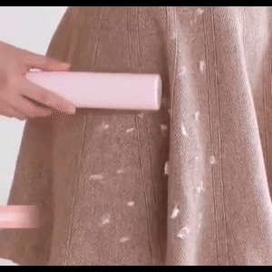 2-1 Reusable Pet Hair Remover Brush 1