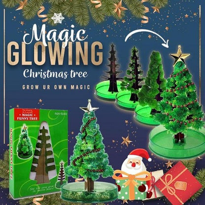 Magic Growing Christmas Tree 1