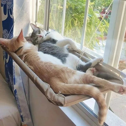 Cat Window Mounted Perch Hammock 1