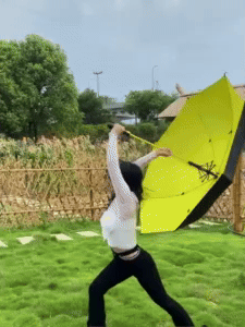 Umbrella with Fan 1
