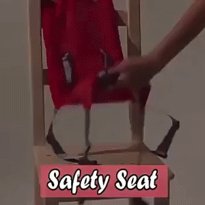 Portable Baby Seat 1