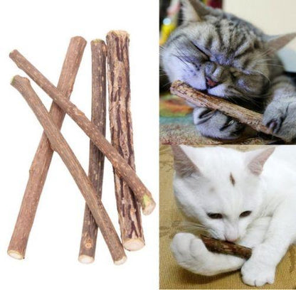 Chompy Sticks 1