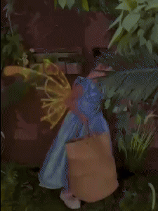 Electric Fairy Wings 1