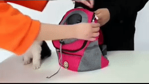 TRANSPORT BACKPACK FOR DOGS 1