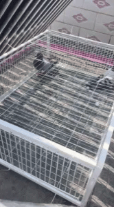 Pigeon Traps 1